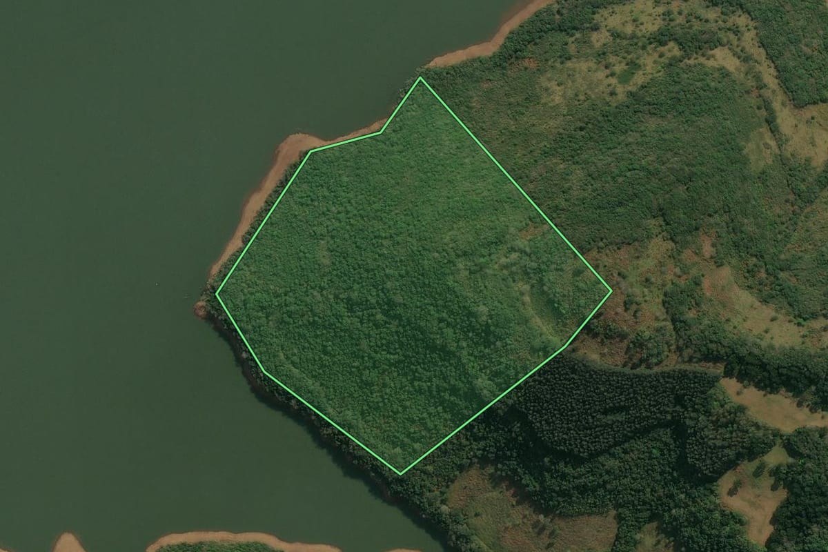 Imagem de satélite do imóvel rural em Anita Garibaldi (SC), com o contorno declarado no CAR desenhado por cima.