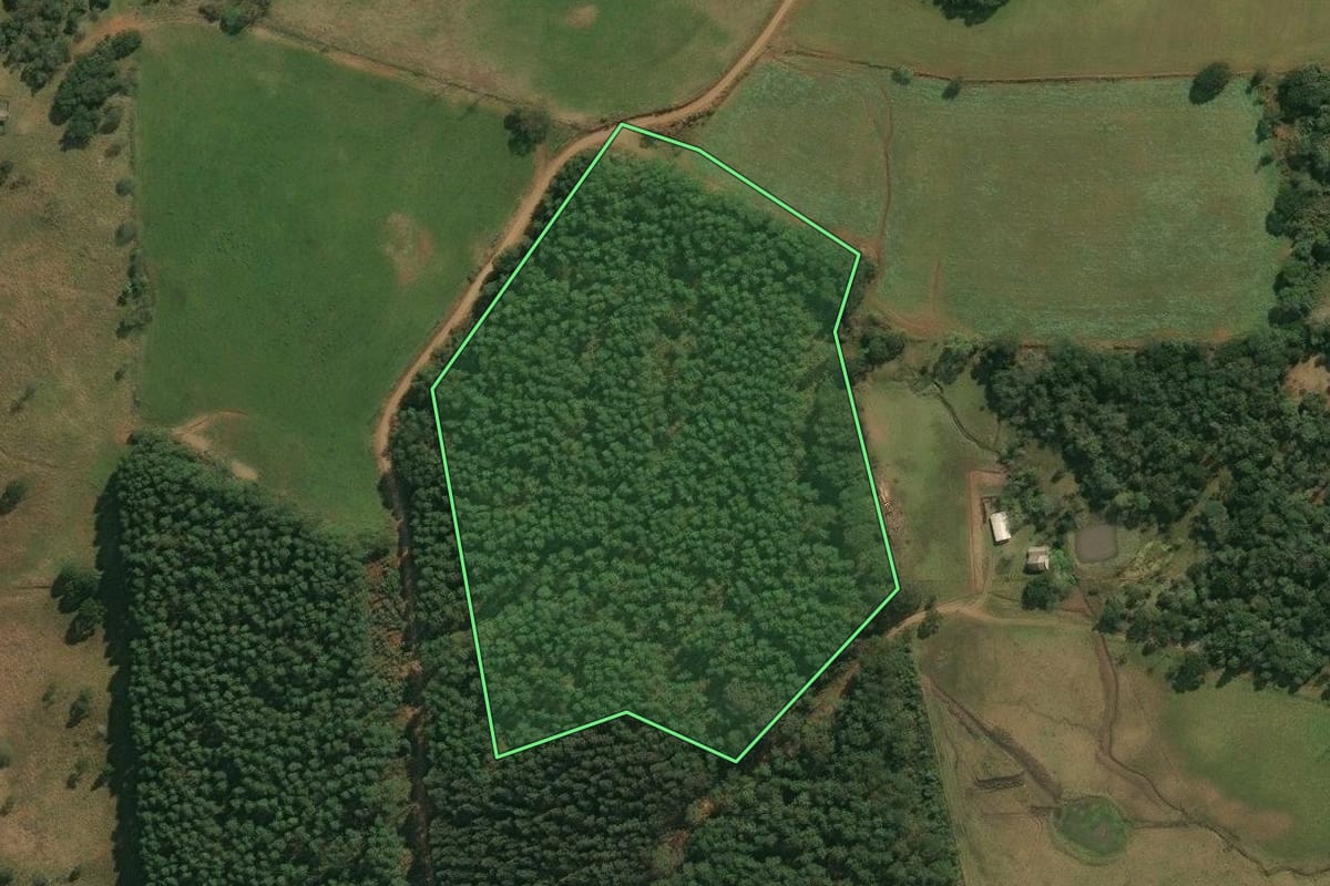 Imagem de satélite do imóvel rural em Anita Garibaldi (SC), com o contorno declarado no CAR desenhado por cima.