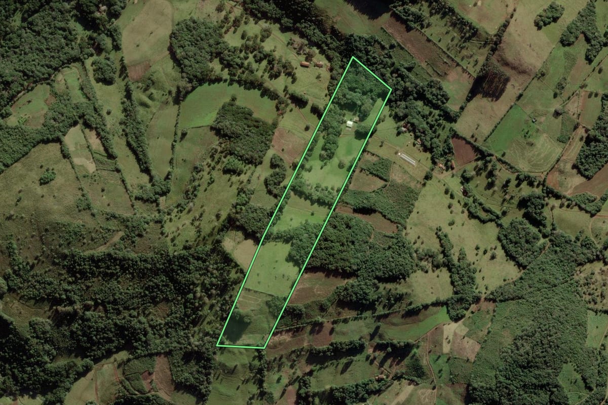Imagem de satélite do imóvel rural em Anita Garibaldi (SC), com o contorno declarado no CAR desenhado por cima.