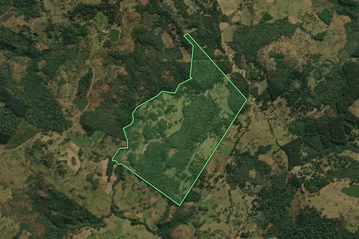 Imagem de satélite do imóvel rural em Anita Garibaldi (SC), com o contorno declarado no CAR desenhado por cima.