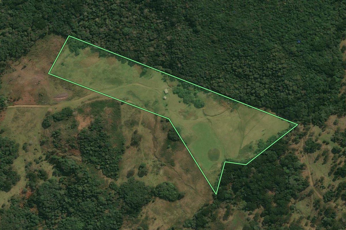 Imagem de satélite do imóvel rural em Anita Garibaldi (SC), com o contorno declarado no CAR desenhado por cima.