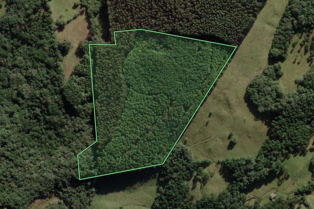 Imagem de satélite do imóvel rural em Anita Garibaldi (SC), com o contorno declarado no CAR desenhado por cima.