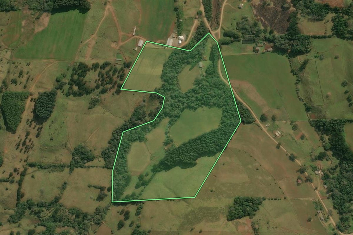 Imagem de satélite do imóvel rural em Anita Garibaldi (SC), com o contorno declarado no CAR desenhado por cima.