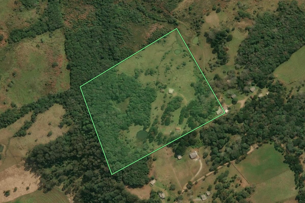 Imagem de satélite do imóvel rural em Anita Garibaldi (SC), com o contorno declarado no CAR desenhado por cima.