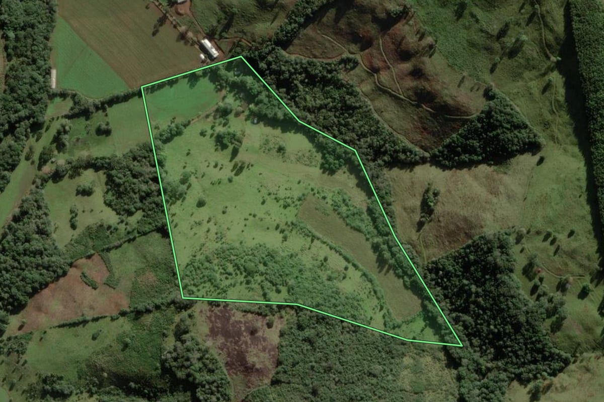 Imagem de satélite do imóvel rural em Anita Garibaldi (SC), com o contorno declarado no CAR desenhado por cima.