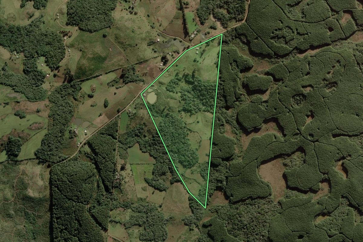 Imagem de satélite do imóvel rural em Anita Garibaldi (SC), com o contorno declarado no CAR desenhado por cima.