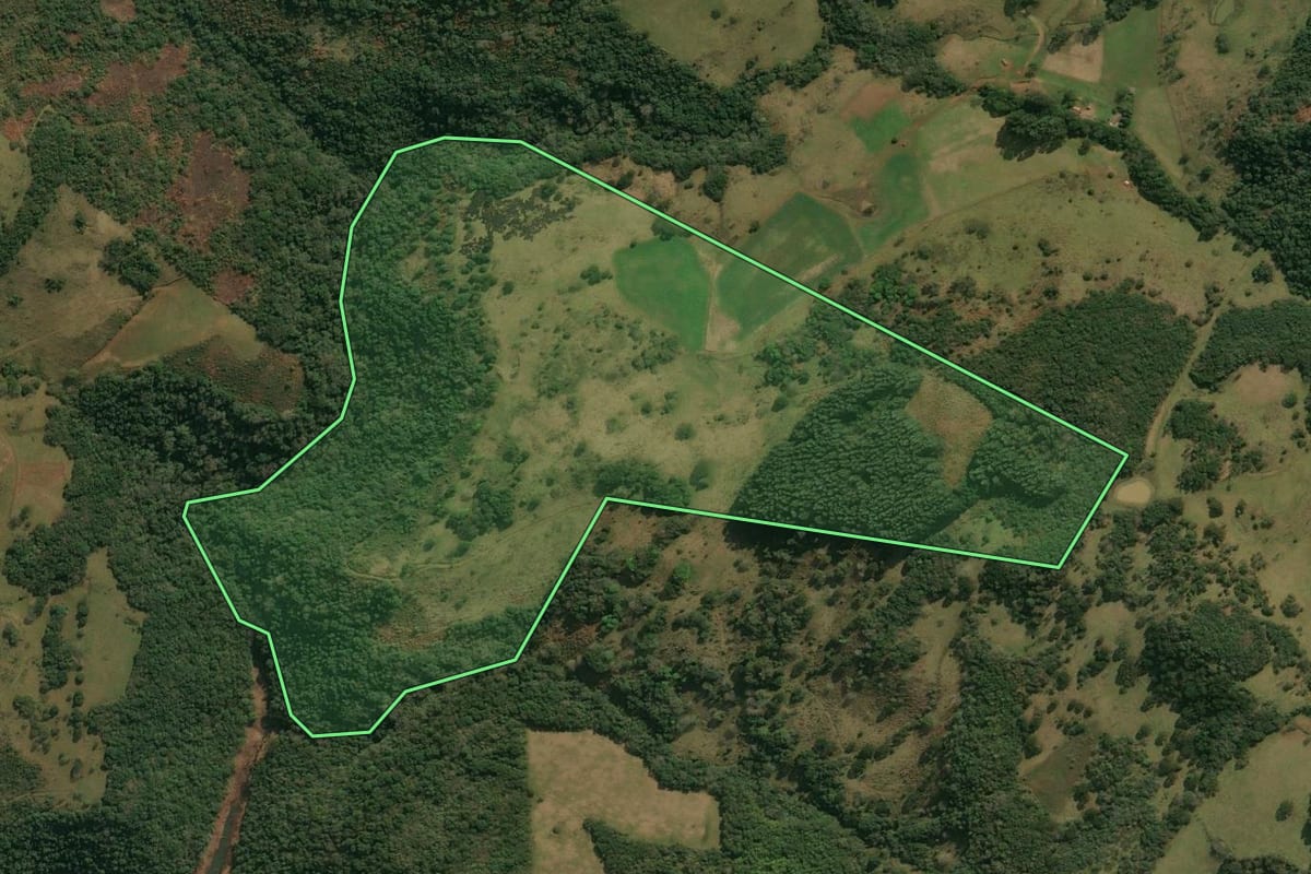 Imagem de satélite do imóvel rural em Anita Garibaldi (SC), com o contorno declarado no CAR desenhado por cima.
