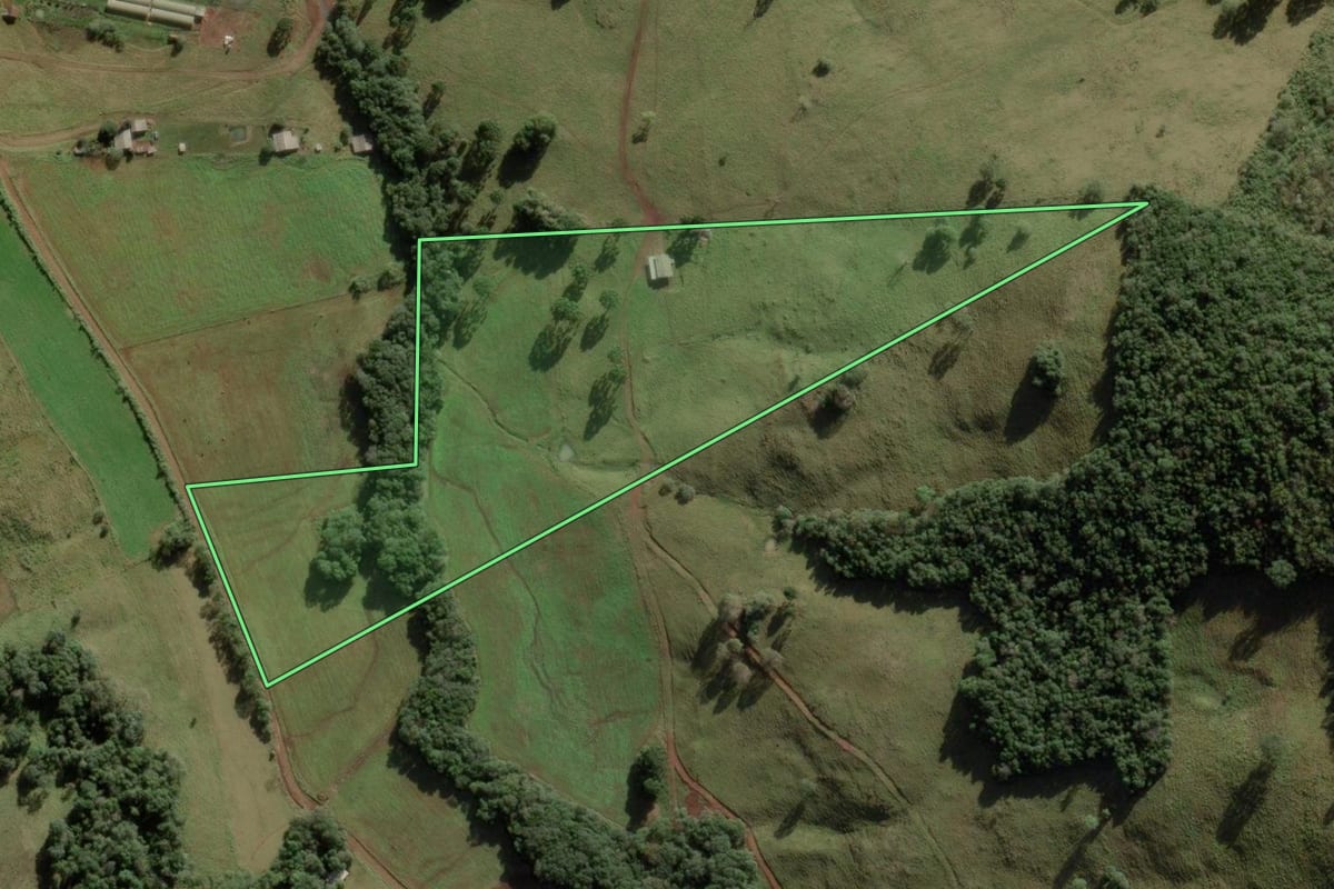 Imagem de satélite do imóvel rural em Anita Garibaldi (SC), com o contorno declarado no CAR desenhado por cima.