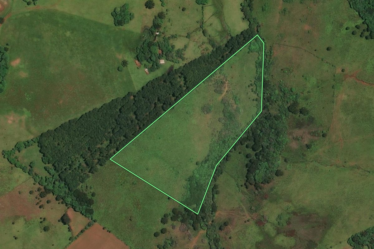 Imagem de satélite do imóvel rural em Anita Garibaldi (SC), com o contorno declarado no CAR desenhado por cima.