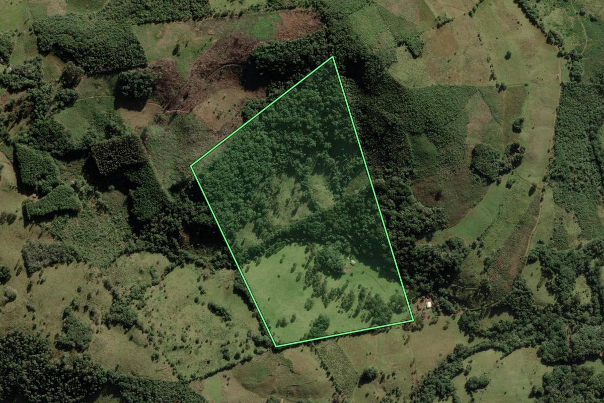 Imagem de satélite do imóvel rural em Anita Garibaldi (SC), com o contorno declarado no CAR desenhado por cima.