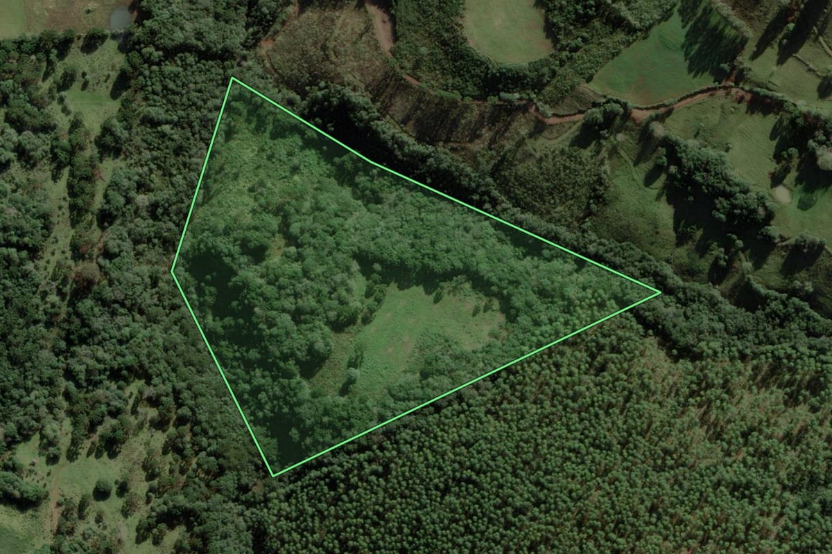 Imagem de satélite do imóvel rural em Anita Garibaldi (SC), com o contorno declarado no CAR desenhado por cima.