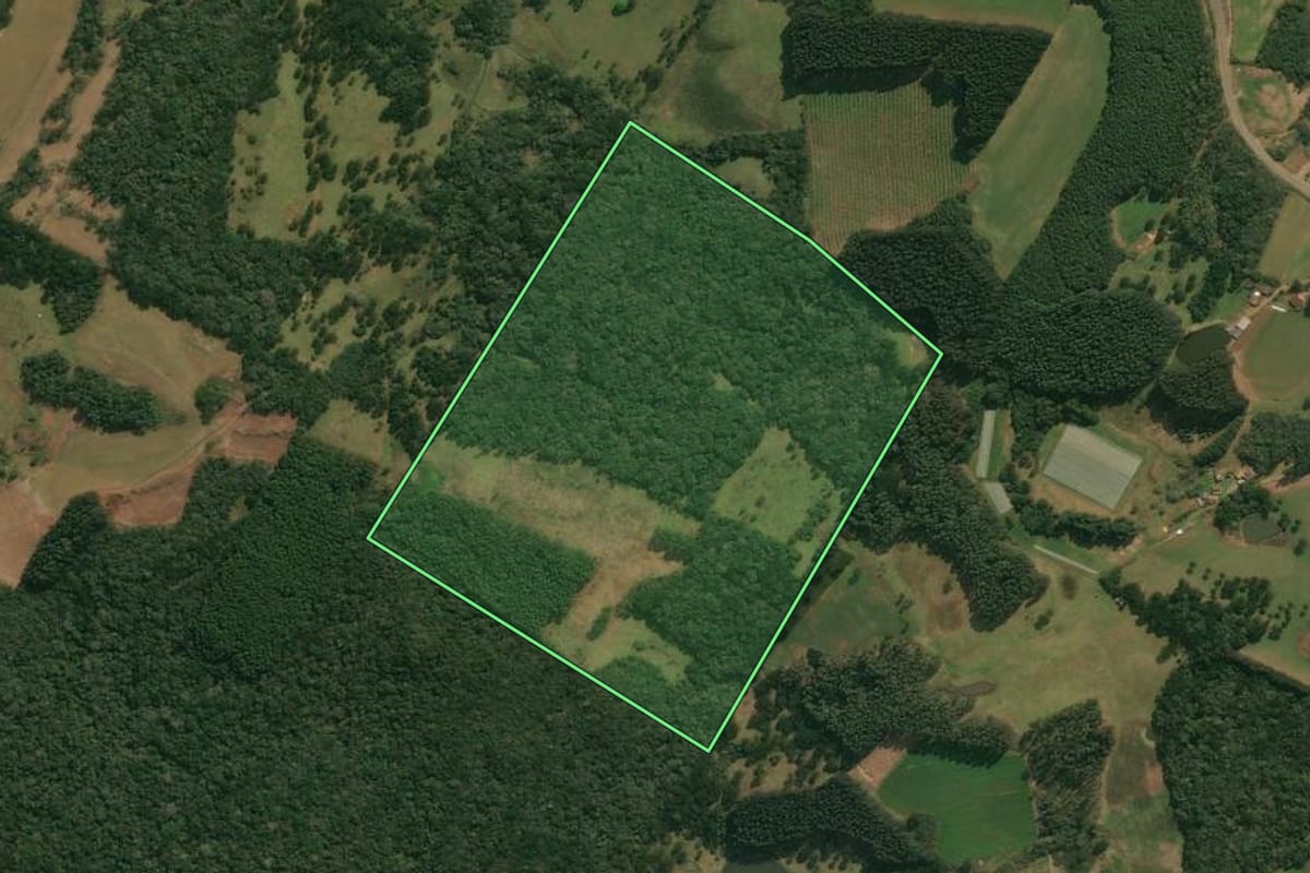 Imagem de satélite do imóvel rural em Anita Garibaldi (SC), com o contorno declarado no CAR desenhado por cima.