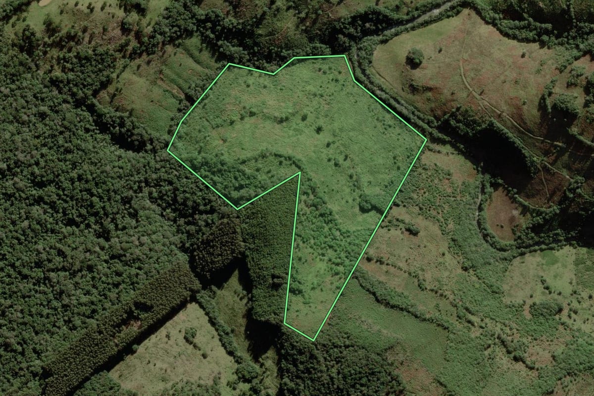 Imagem de satélite do imóvel rural em Anita Garibaldi (SC), com o contorno declarado no CAR desenhado por cima.
