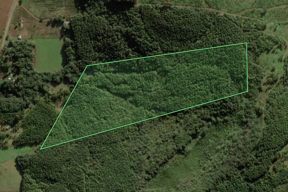 Imagem de satélite do imóvel rural em Anita Garibaldi (SC), com o contorno declarado no CAR desenhado por cima.