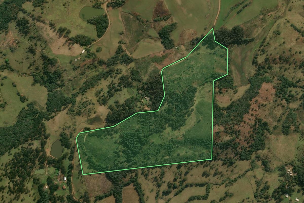 Imagem de satélite do imóvel rural em Anita Garibaldi (SC), com o contorno declarado no CAR desenhado por cima.