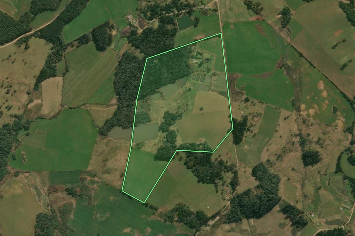 Imagem de satélite do imóvel rural em Anita Garibaldi (SC), com o contorno declarado no CAR desenhado por cima.