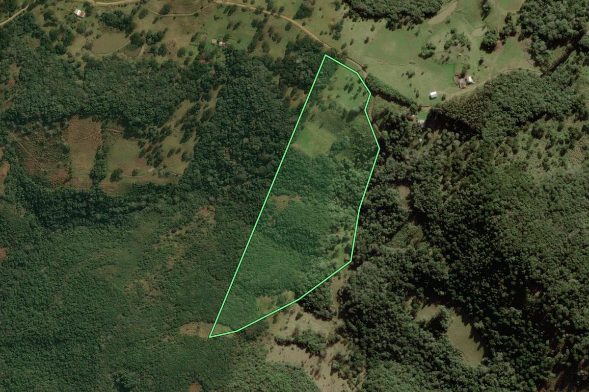 Imagem de satélite do imóvel rural em Anita Garibaldi (SC), com o contorno declarado no CAR desenhado por cima.