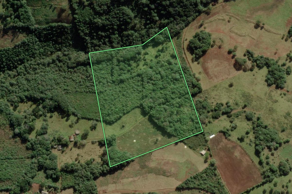 Imagem de satélite do imóvel rural em Anita Garibaldi (SC), com o contorno declarado no CAR desenhado por cima.