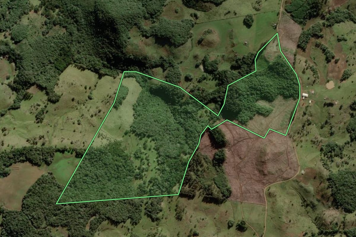 Imagem de satélite do imóvel rural em Anita Garibaldi (SC), com o contorno declarado no CAR desenhado por cima.