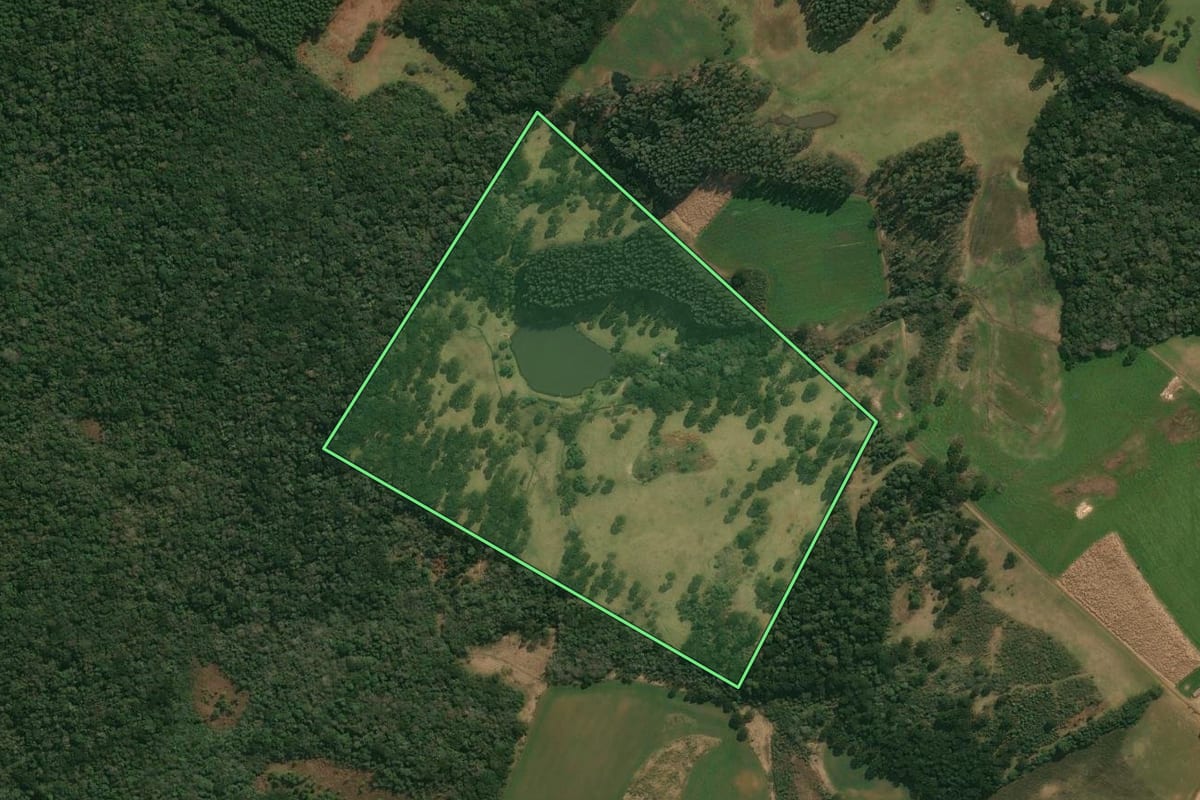 Imagem de satélite do imóvel rural em Anita Garibaldi (SC), com o contorno declarado no CAR desenhado por cima.