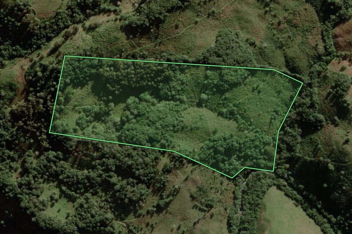 Imagem de satélite do imóvel rural em Anita Garibaldi (SC), com o contorno declarado no CAR desenhado por cima.