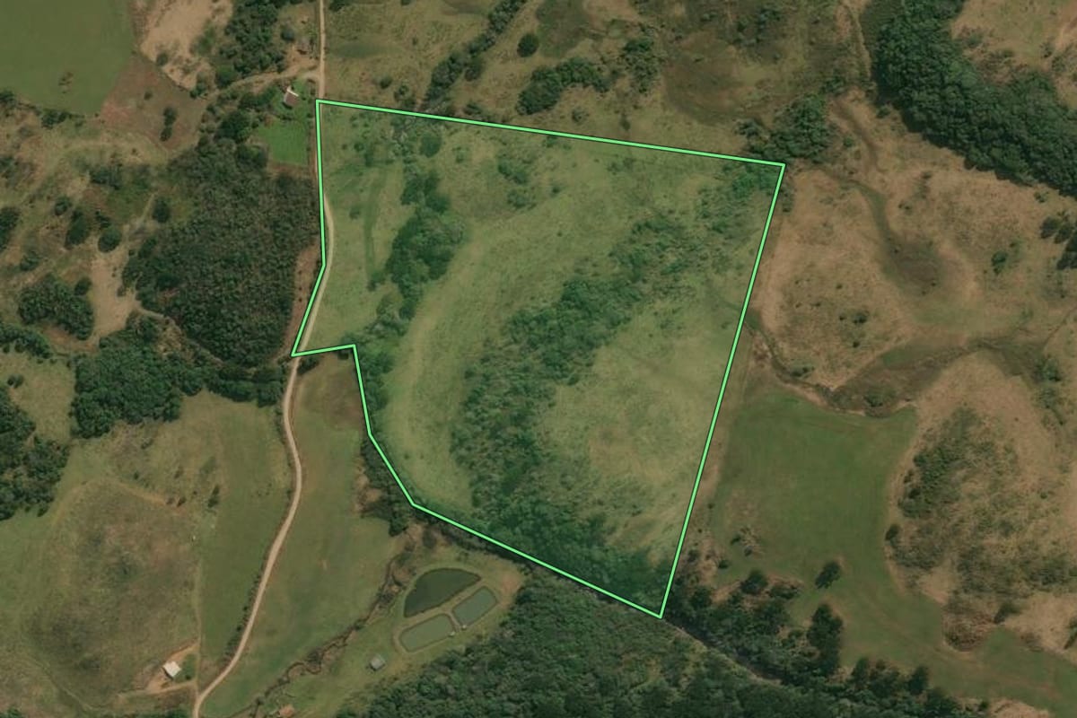 Imagem de satélite do imóvel rural em Anita Garibaldi (SC), com o contorno declarado no CAR desenhado por cima.