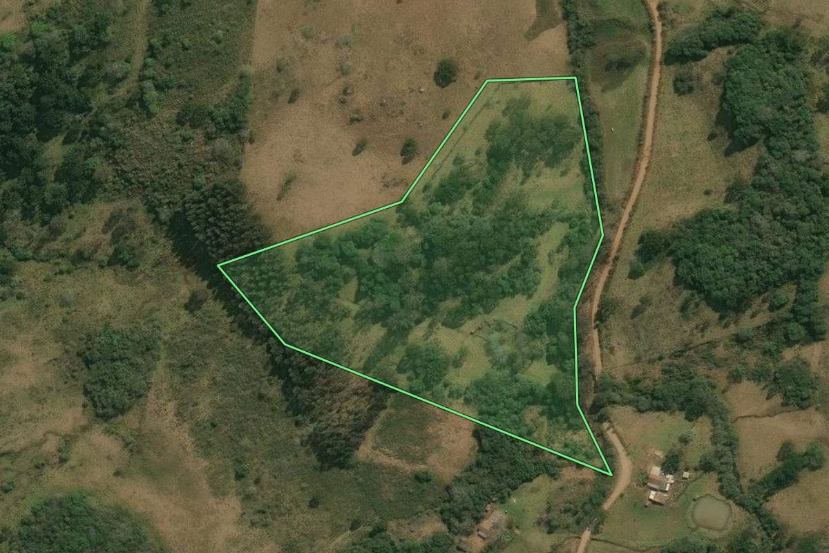 Imagem de satélite do imóvel rural em Anita Garibaldi (SC), com o contorno declarado no CAR desenhado por cima.