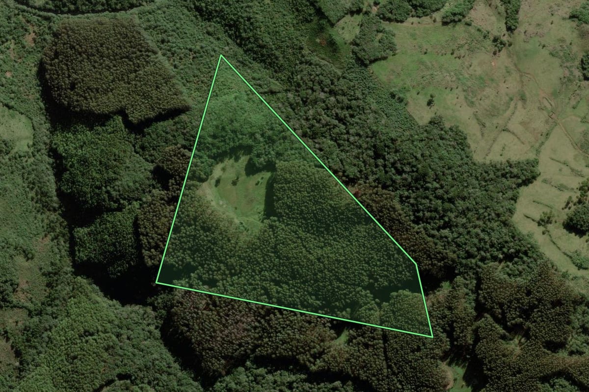 Imagem de satélite do imóvel rural em Anita Garibaldi (SC), com o contorno declarado no CAR desenhado por cima.