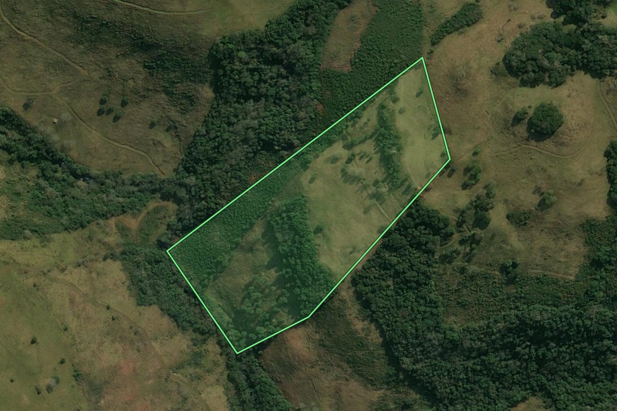 Imagem de satélite do imóvel rural em Anita Garibaldi (SC), com o contorno declarado no CAR desenhado por cima.