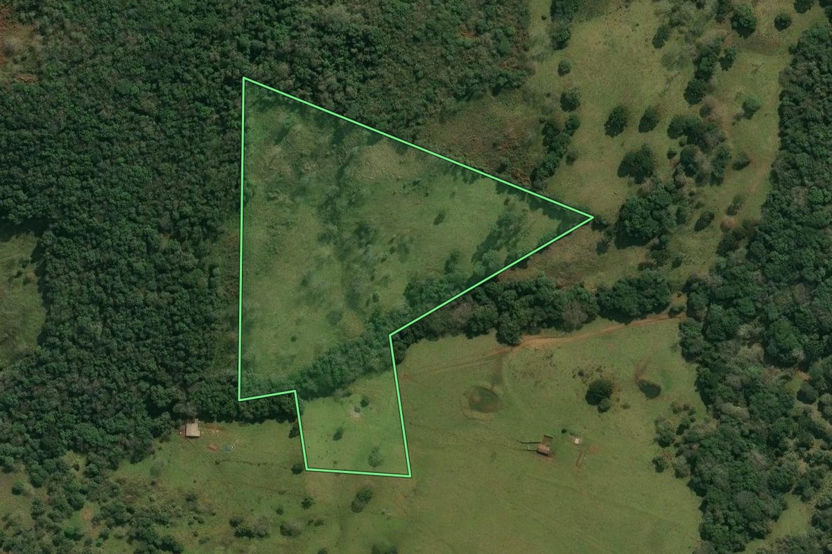 Imagem de satélite do imóvel rural em Anita Garibaldi (SC), com o contorno declarado no CAR desenhado por cima.