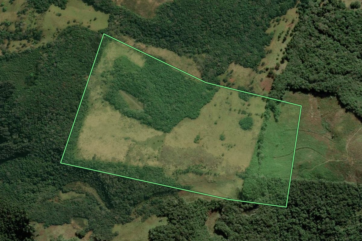 Imagem de satélite do imóvel rural em Anita Garibaldi (SC), com o contorno declarado no CAR desenhado por cima.