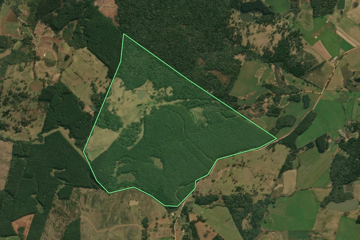 Imagem de satélite do imóvel rural em Anita Garibaldi (SC), com o contorno declarado no CAR desenhado por cima.