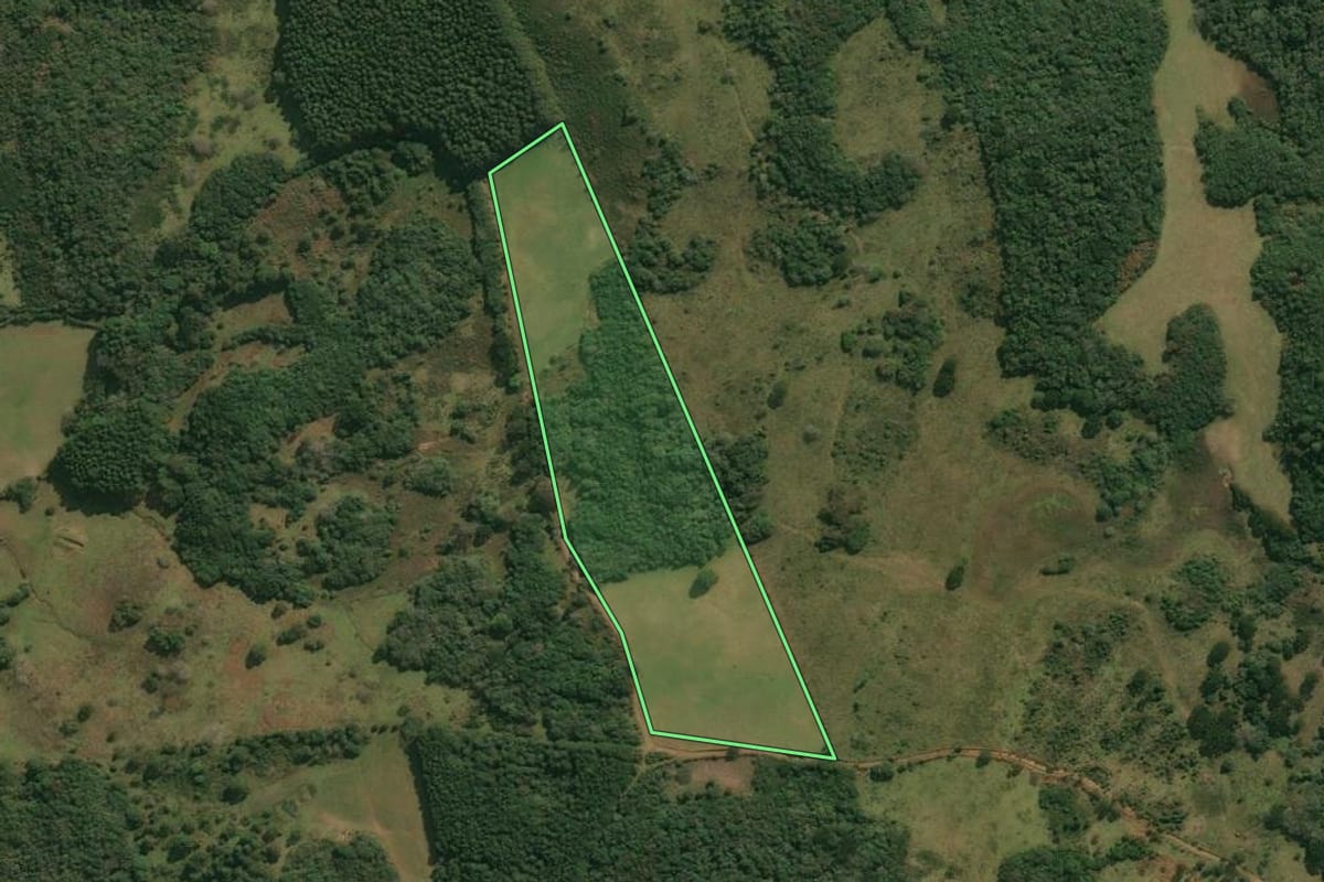 Imagem de satélite do imóvel rural em Anita Garibaldi (SC), com o contorno declarado no CAR desenhado por cima.