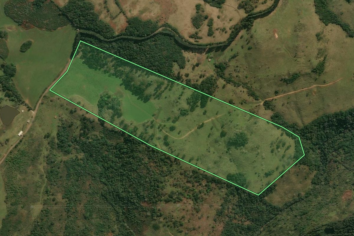Imagem de satélite do imóvel rural em Anita Garibaldi (SC), com o contorno declarado no CAR desenhado por cima.