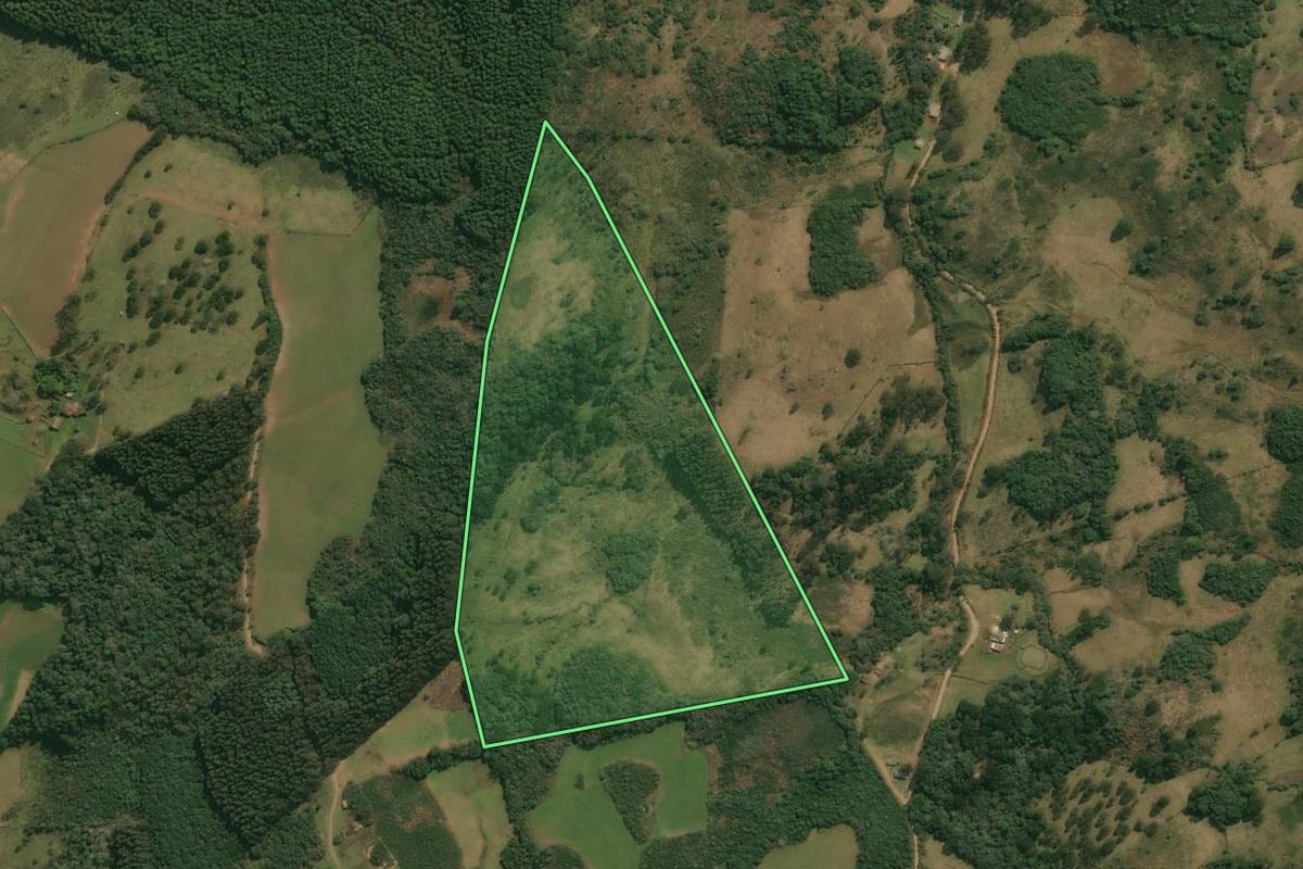 Imagem de satélite do imóvel rural em Anita Garibaldi (SC), com o contorno declarado no CAR desenhado por cima.