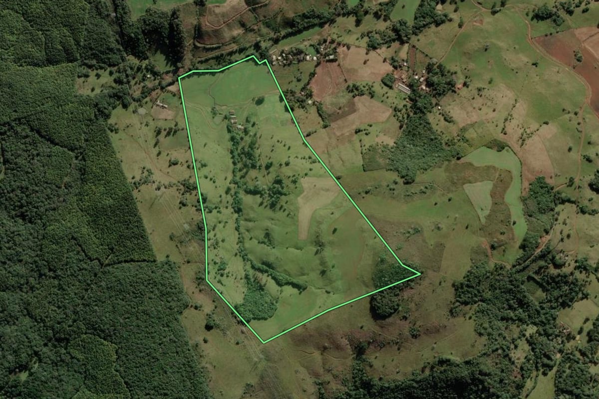 Imagem de satélite do imóvel rural em Anita Garibaldi (SC), com o contorno declarado no CAR desenhado por cima.