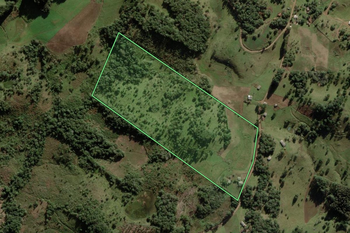 Imagem de satélite do imóvel rural em Anita Garibaldi (SC), com o contorno declarado no CAR desenhado por cima.