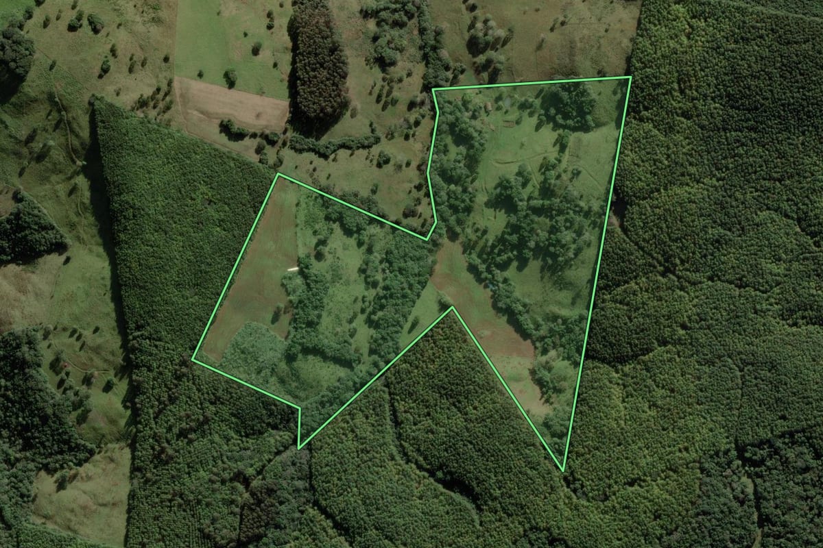 Imagem de satélite do imóvel rural em Anita Garibaldi (SC), com o contorno declarado no CAR desenhado por cima.