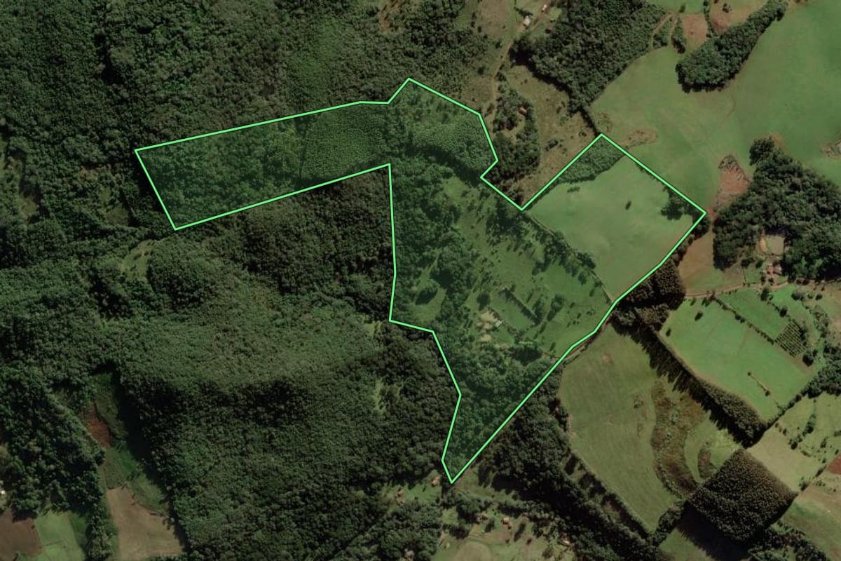 Imagem de satélite do imóvel rural em Anita Garibaldi (SC), com o contorno declarado no CAR desenhado por cima.