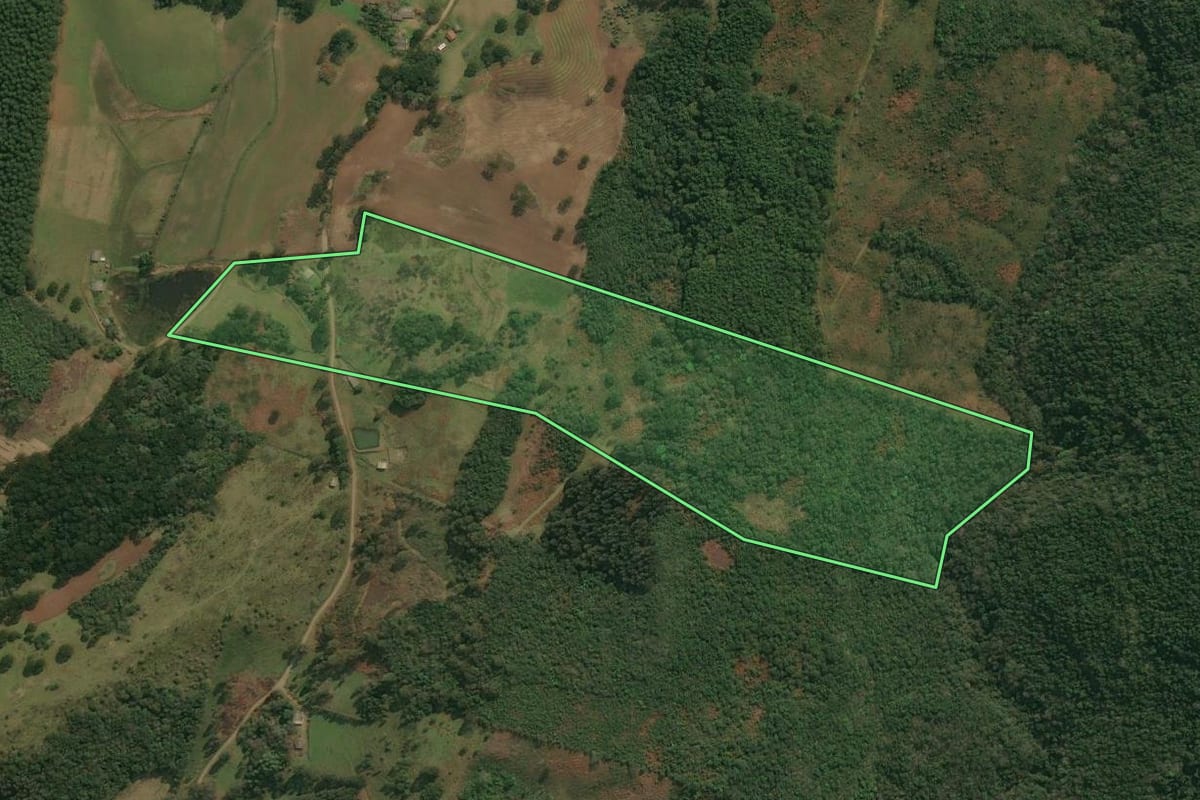 Imagem de satélite do imóvel rural em Anita Garibaldi (SC), com o contorno declarado no CAR desenhado por cima.