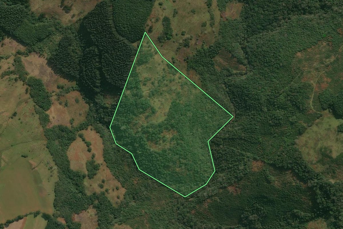 Imagem de satélite do imóvel rural em Anita Garibaldi (SC), com o contorno declarado no CAR desenhado por cima.