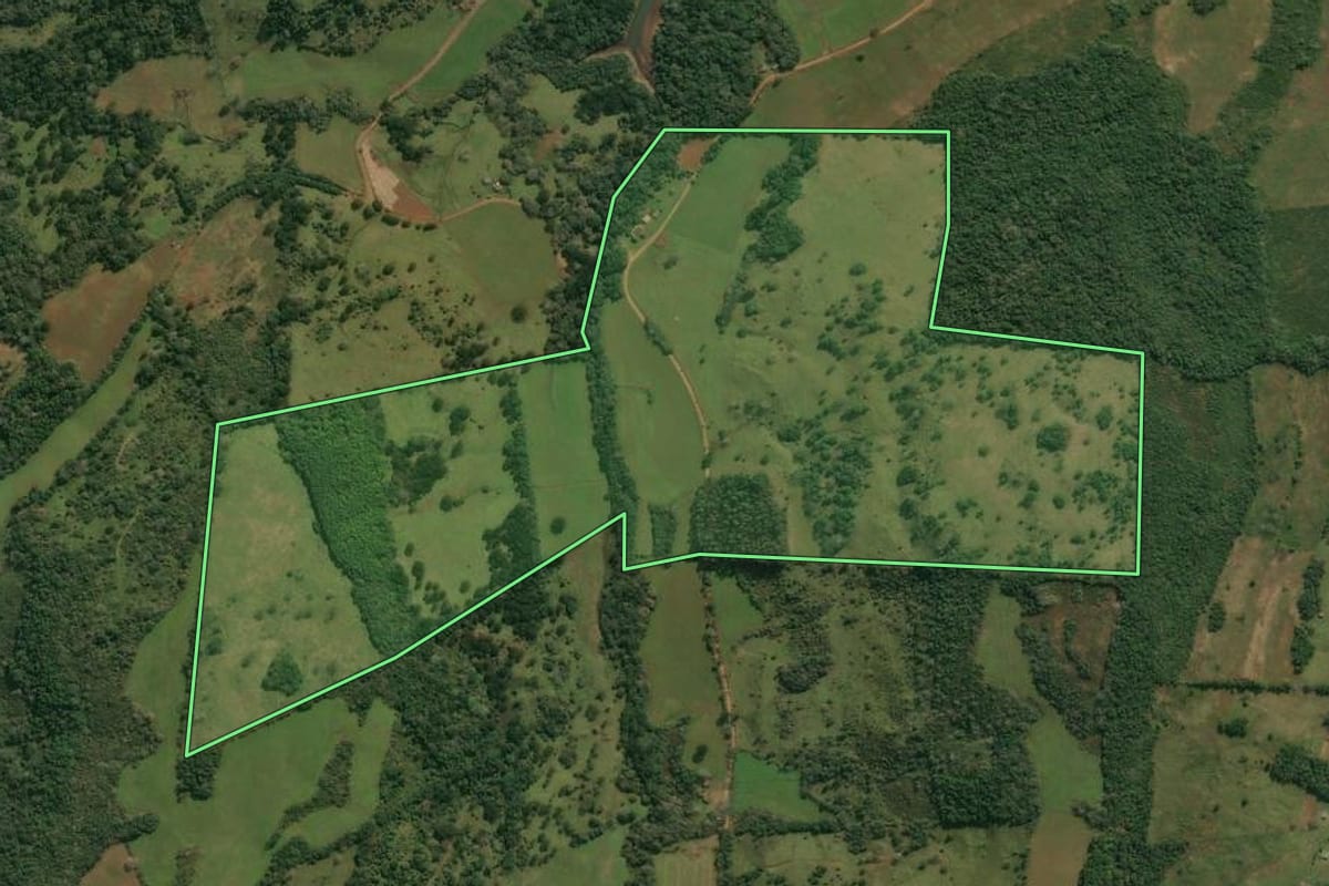 Imagem de satélite do imóvel rural em Anita Garibaldi (SC), com o contorno declarado no CAR desenhado por cima.