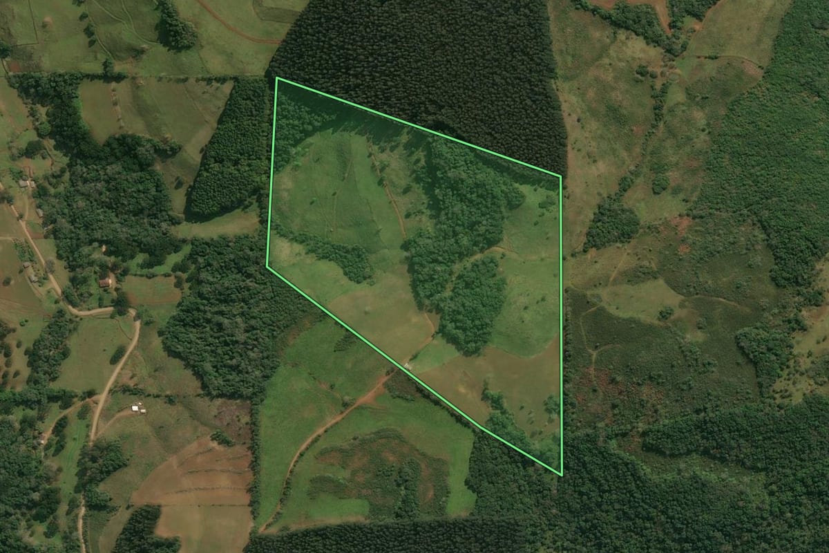 Imagem de satélite do imóvel rural em Anita Garibaldi (SC), com o contorno declarado no CAR desenhado por cima.