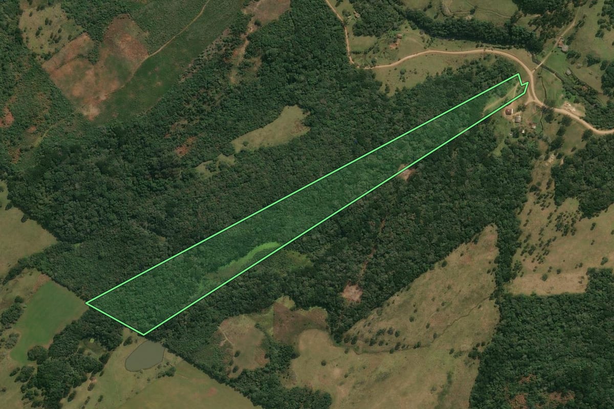 Imagem de satélite do imóvel rural em Anita Garibaldi (SC), com o contorno declarado no CAR desenhado por cima.