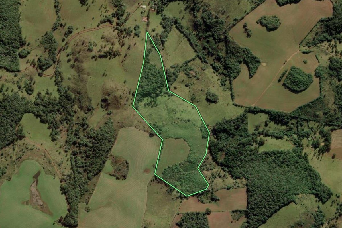 Imagem de satélite do imóvel rural em Anita Garibaldi (SC), com o contorno declarado no CAR desenhado por cima.