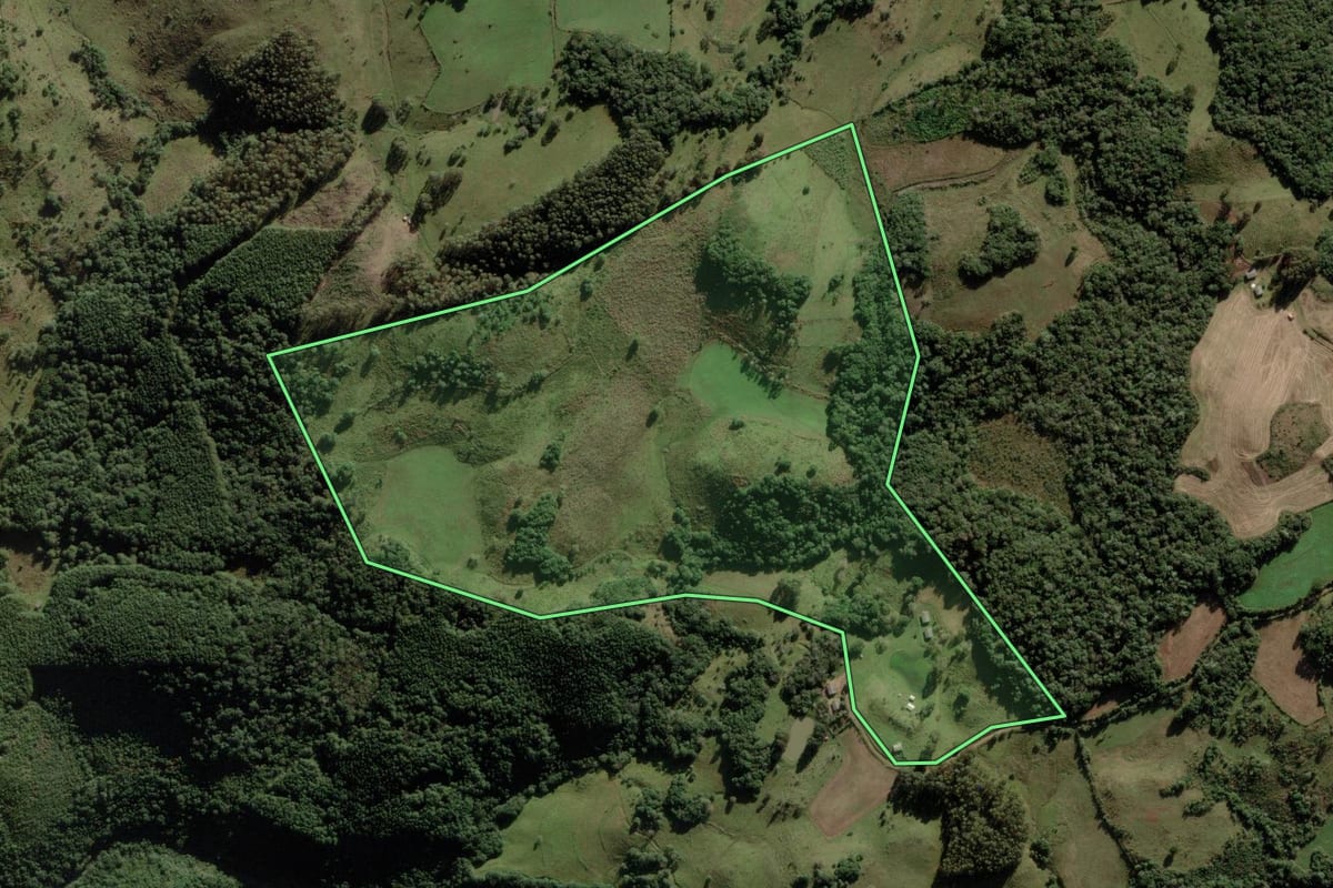Imagem de satélite do imóvel rural em Anita Garibaldi (SC), com o contorno declarado no CAR desenhado por cima.