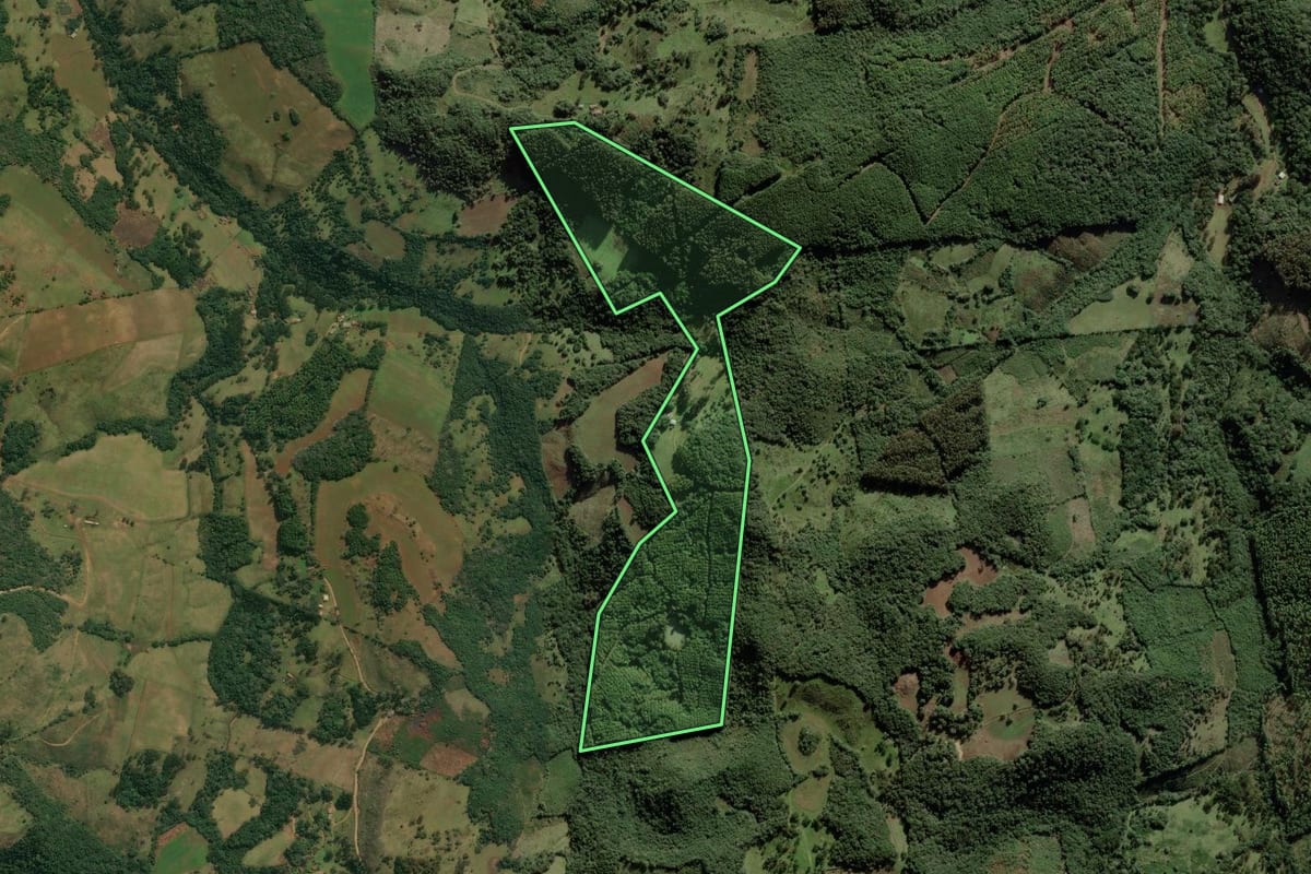 Imagem de satélite do imóvel rural em Anita Garibaldi (SC), com o contorno declarado no CAR desenhado por cima.