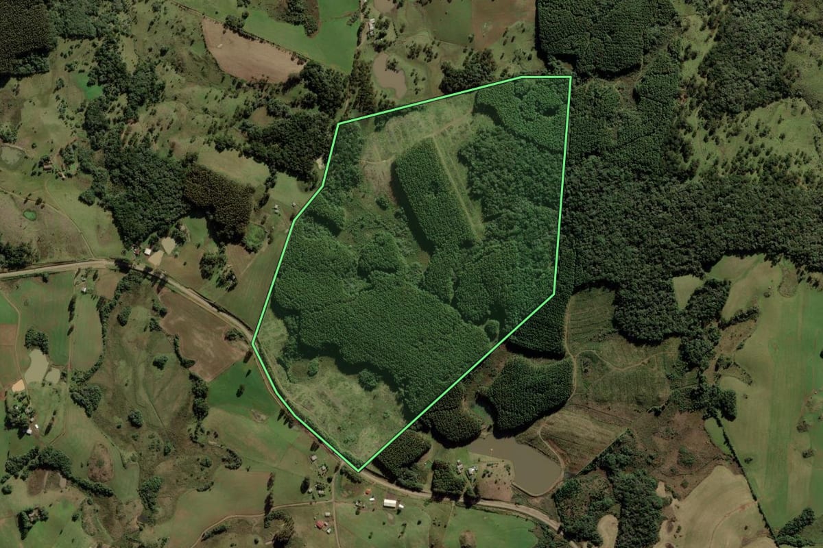 Imagem de satélite do imóvel rural em Anita Garibaldi (SC), com o contorno declarado no CAR desenhado por cima.
