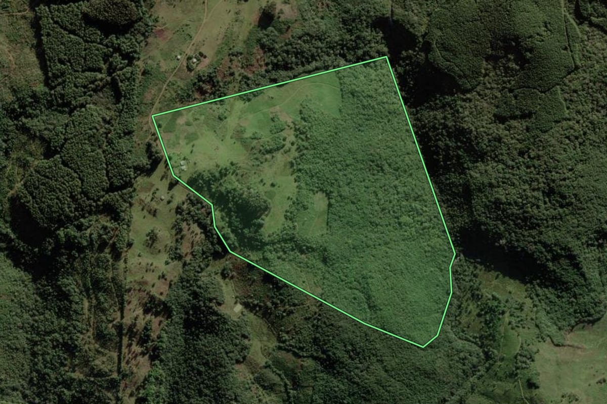 Imagem de satélite do imóvel rural em Anita Garibaldi (SC), com o contorno declarado no CAR desenhado por cima.