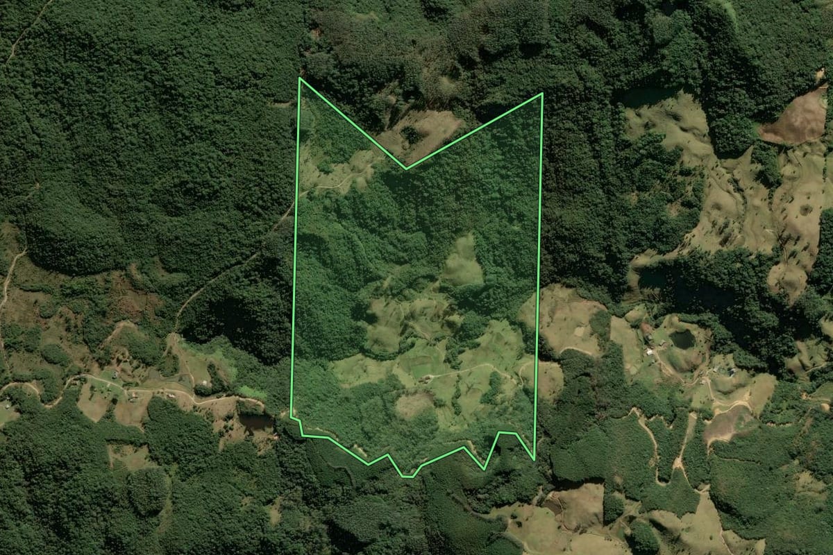 Imagem de satélite do imóvel rural em Anitápolis (SC), com o contorno declarado no CAR desenhado por cima.